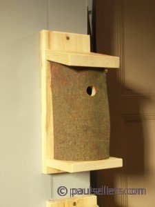 Made nesting boxes (bird houses) today