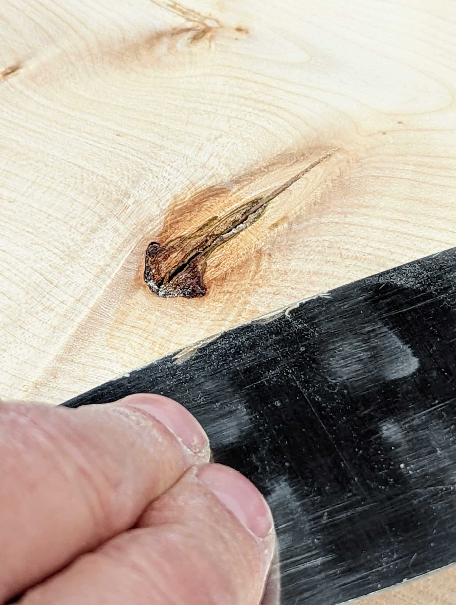 5 Best Epoxy Wood Fillers for Voids and Rotting Wood